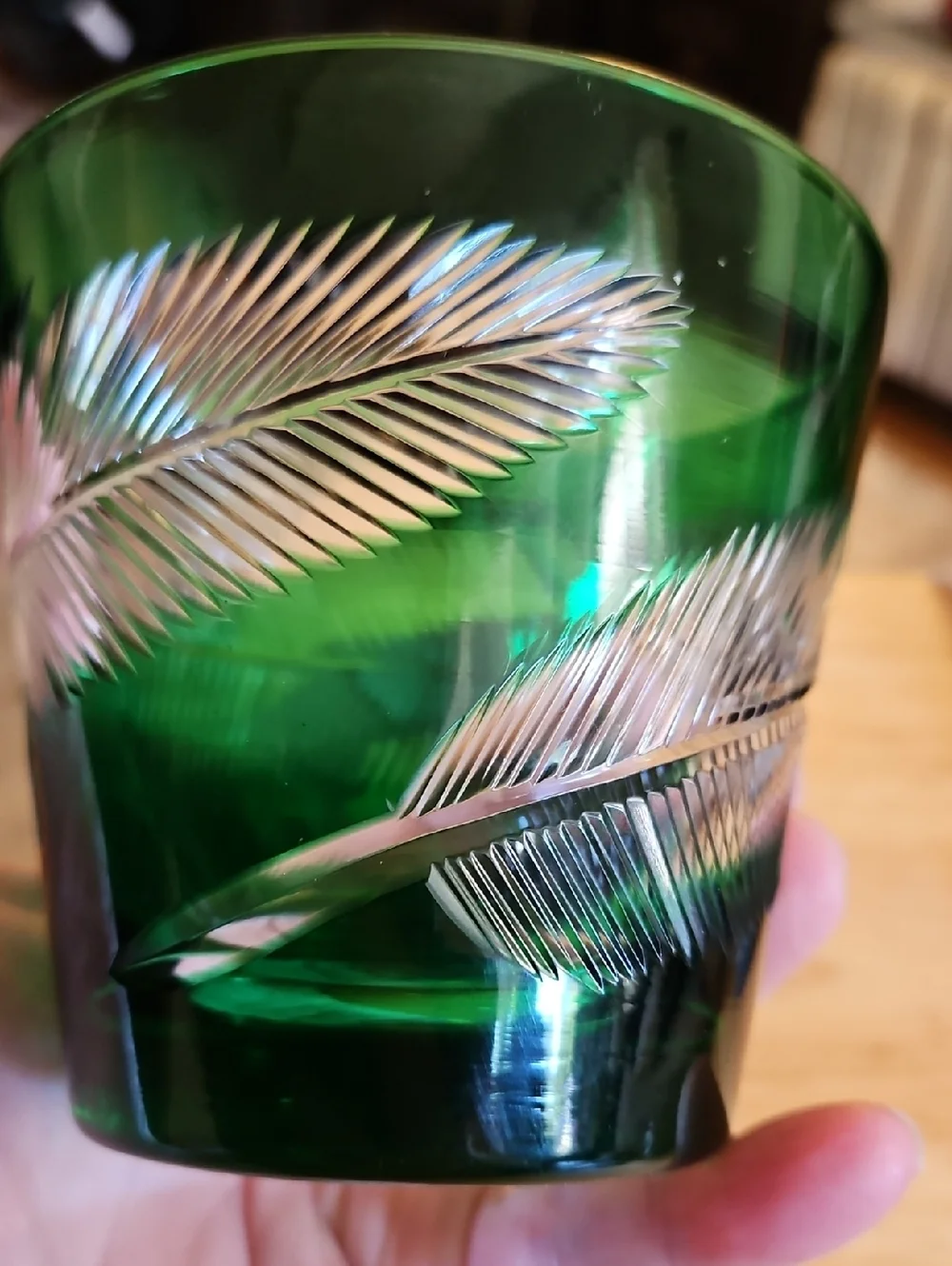 Vintage Green Etched Glass Leaf Feather  Tumbler